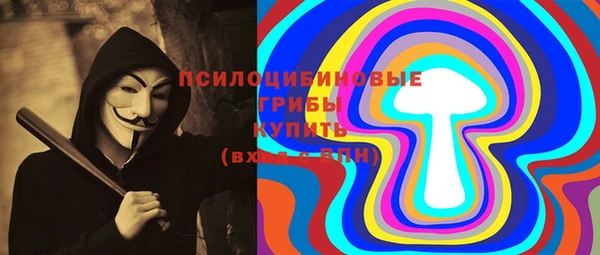 мяу мяу мука Аркадак