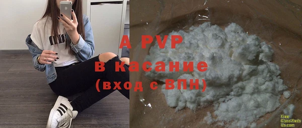 индика Арсеньев