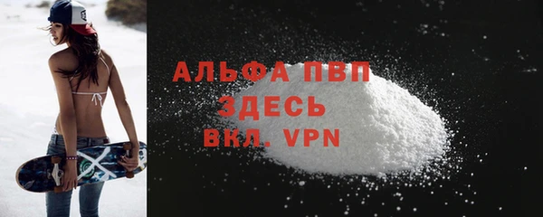 индика Арсеньев