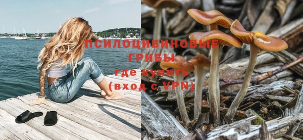 мяу мяу мука Аркадак