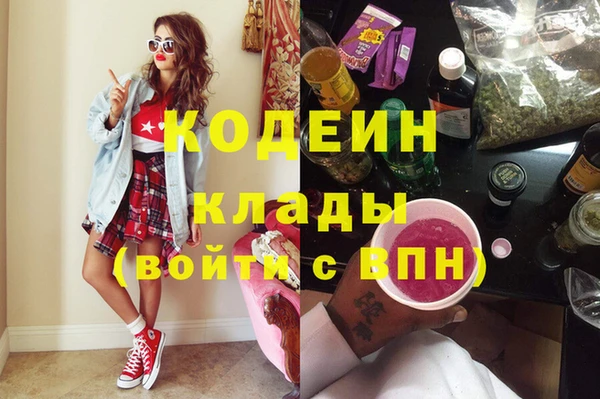 индика Арсеньев