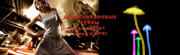 мяу мяу мука Аркадак