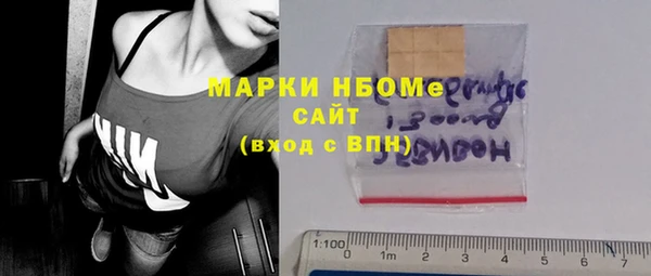 индика Арсеньев