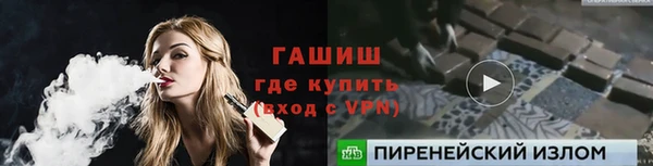 индика Арсеньев