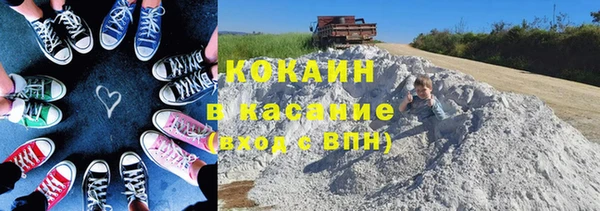 мяу мяу мука Аркадак