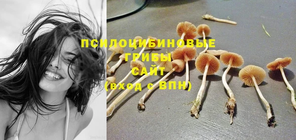 индика Арсеньев