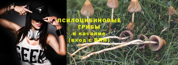 индика Арсеньев