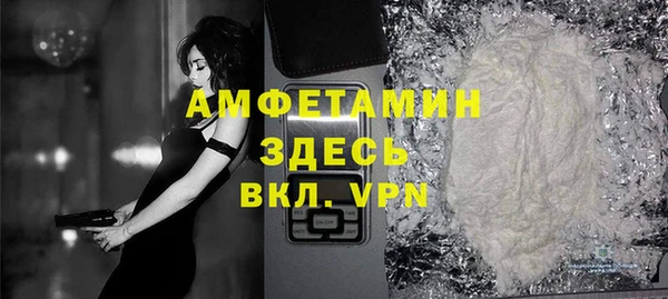 индика Арсеньев