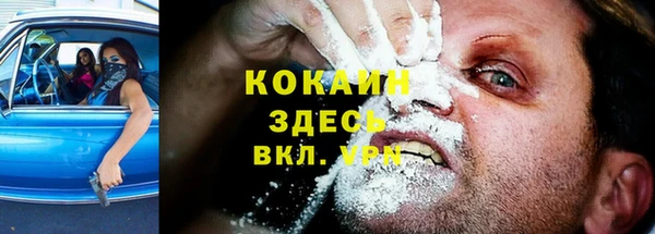 индика Арсеньев