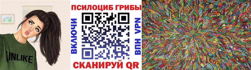 Псилоцибиновые грибы Psilocybe  Ардатов 
